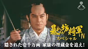 暴れん坊将軍IVスペシャル 隠された壱千万両 家康の埋蔵金を追え！