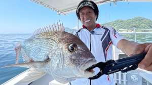 【追/見】魚種格闘技戦！ 270 瀬戸内タイラバ
