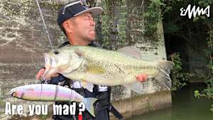 【追/見】Are you mad？ 7 秋の相模湖でスーパーストライク！