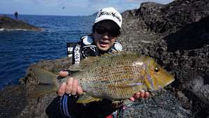 【追/見】楽釣楽磯宣言 48 鹿児島県久志エリア キビナゴでスーパーフカセゲーム