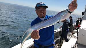 【追/見】沖釣りギャラリー 追わせて掛けろ！大阪湾タチウオテンヤ