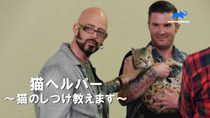 【見逃し】猫ヘルパー シーズン1-猫のしつけ教えます-：Ep.2