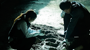 石の繭 殺人分析班 第四話