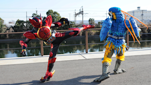 第25話「ボクサーと左手と鳥ヤミー」