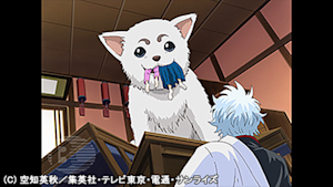 第45話 愛犬の散歩は適度なスピードで