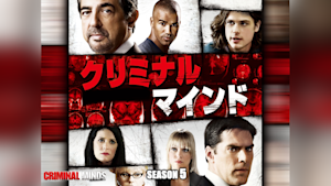 クリミナル・マインド シーズン5 第11話 復讐の逃避行