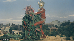 第11話 血を吸う花は少女の精