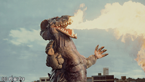 第41話 母の願い 真冬の桜吹雪！