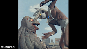 第51話 ウルトラの父と花嫁が来た！