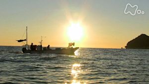 小さな旅　こころ　橙（だいだい）に～静岡県熱海市多賀～