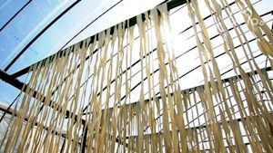 小さな旅　雷（らい）さまの慈雨～栃木県下野市～