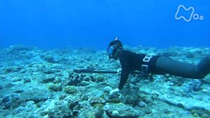 小さな旅　青き海のなか～鹿児島県　奄美大島～