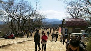 小さな旅　うららかな光の中で～東京　高尾山～
