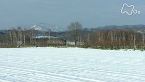 特集　小さな旅　忘れ得ぬ山河
