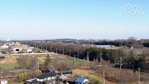 小さな旅　風をうけとめる木～埼玉県深谷市櫛挽（くしびき）～