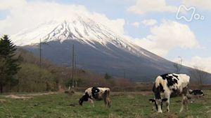 小さな旅　富士に開拓の心～山梨県　富士河口湖町富士ヶ嶺～