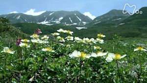 小さな旅　山の歌　夏　「気高き峰　ともに～富山県　立山～」