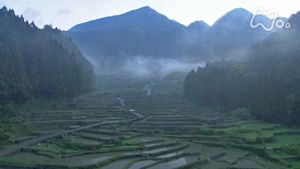 小さな旅　選集　水ぬるみ　春輝く