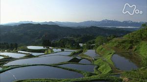 小さな旅　大地は傷ついても～新潟県長岡市山古志～