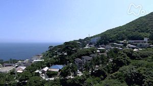 小さな旅　イルカと暮らす宝島～東京　御蔵島～