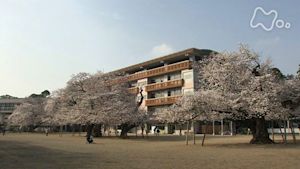 小さな旅　桜の学びや～茨城県　土浦市真鍋～