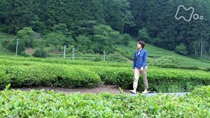 小さな旅　ぬくもり　たなびいて～茨城県　大子町蛇穴～