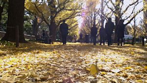 ＮＨＫスペシャル　終（つい）の住処（すみか）はどこに　老人漂流社会