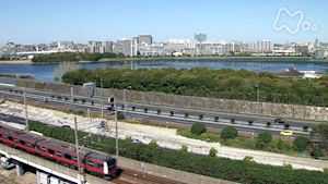 小さな旅　ぽっかりと　わたしの海～千葉県谷津干潟～