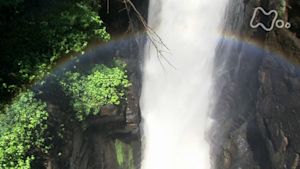 シリーズ世界遺産１００　滝がつくる小宇宙　イグアス国立公園（アルゼンチン・ブラジル）
