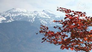小さな旅　山抱かれ　心満たす～石川県　白山～