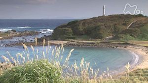 小さな旅　手紙シリーズ　第１回　忘れられないわたしの旅　ふたたび　歩む