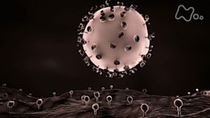 ＢＳ世界のドキュメンタリー　シリーズ　ナノレボリューション（２）　ナノレボリューション　病が消える日