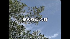 2006 泉大津浜八町連合
