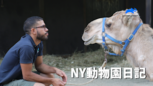NY動物園日記