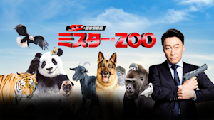 SP 国家情報局：Mr.ZOO