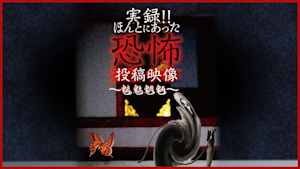 実録！！ほんとにあった恐怖の投稿映像～魑魅魍魎～
