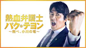 熱血弁護士 パク・テヨン ～飛べ、小川の竜～