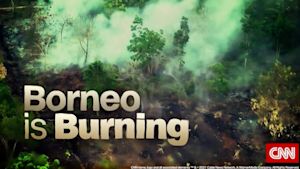 ボルネオ島 森林火災