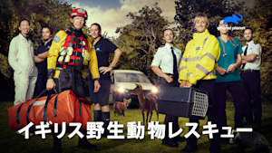 イギリス野生動物レスキュー