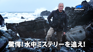 驚愕！水中ミステリーを追え！
