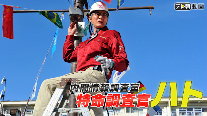 内閣情報調査室 特命調査官・ハト（日曜ワイド）