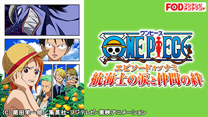ONE PIECE N-31 ワンピース エピソード・オブ・ナミ 航海士の涙
