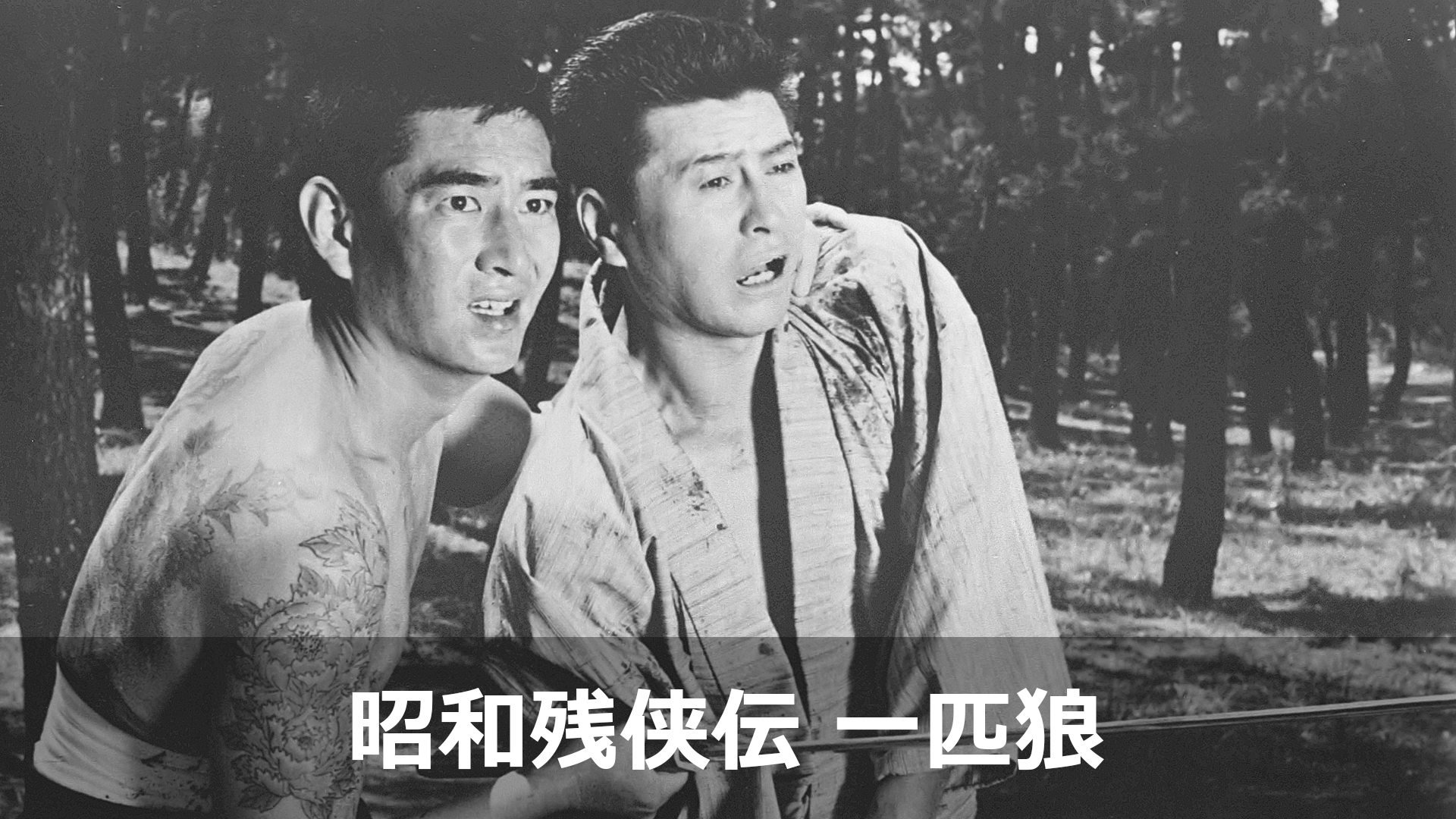 J:COM STREAM 視聴サイト J:COM STREAM 視聴サイト