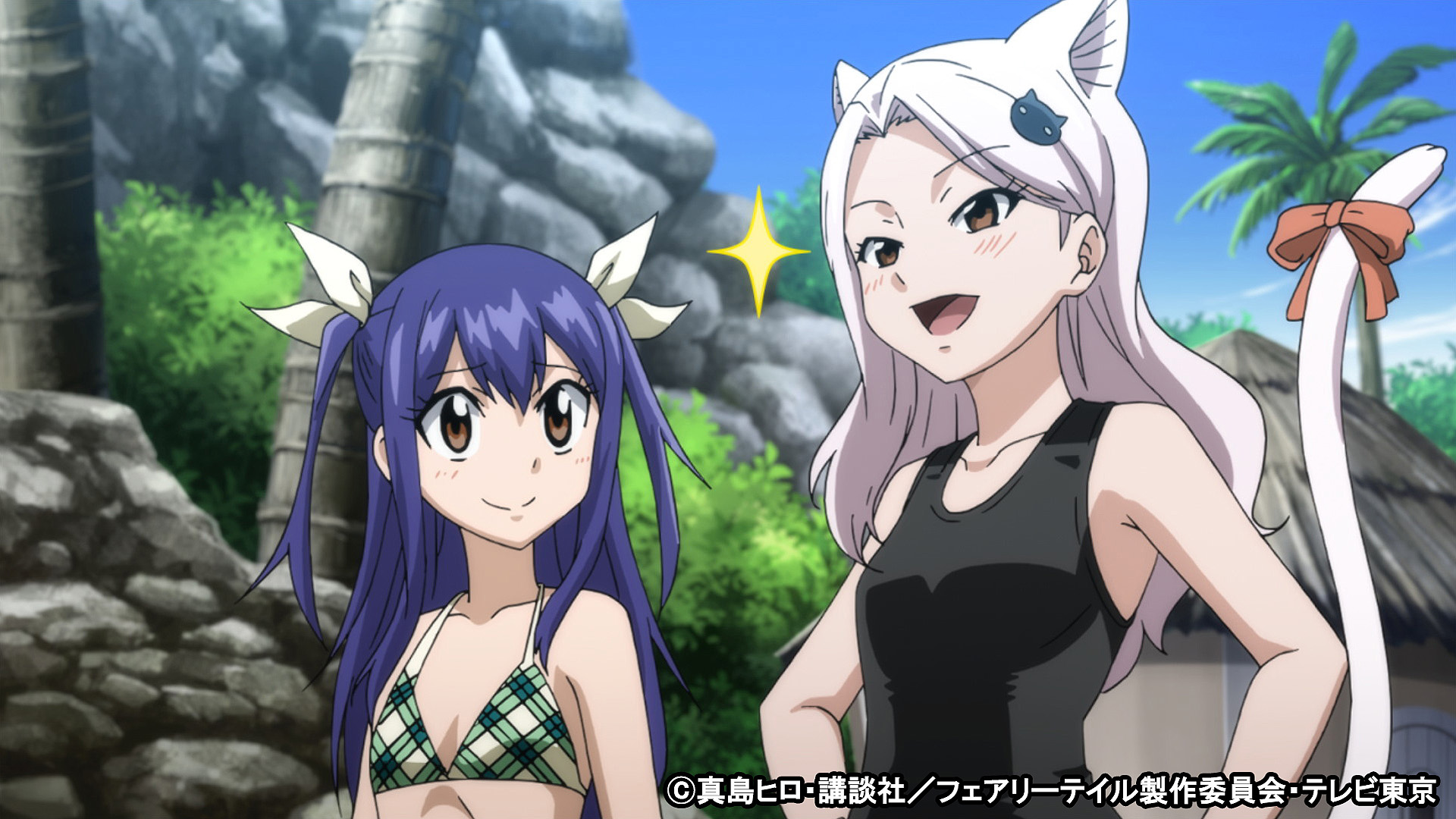 NICO送料込みフェアリーテイル fairy tail | My Nintendo Store（マイニンテンドーストア）