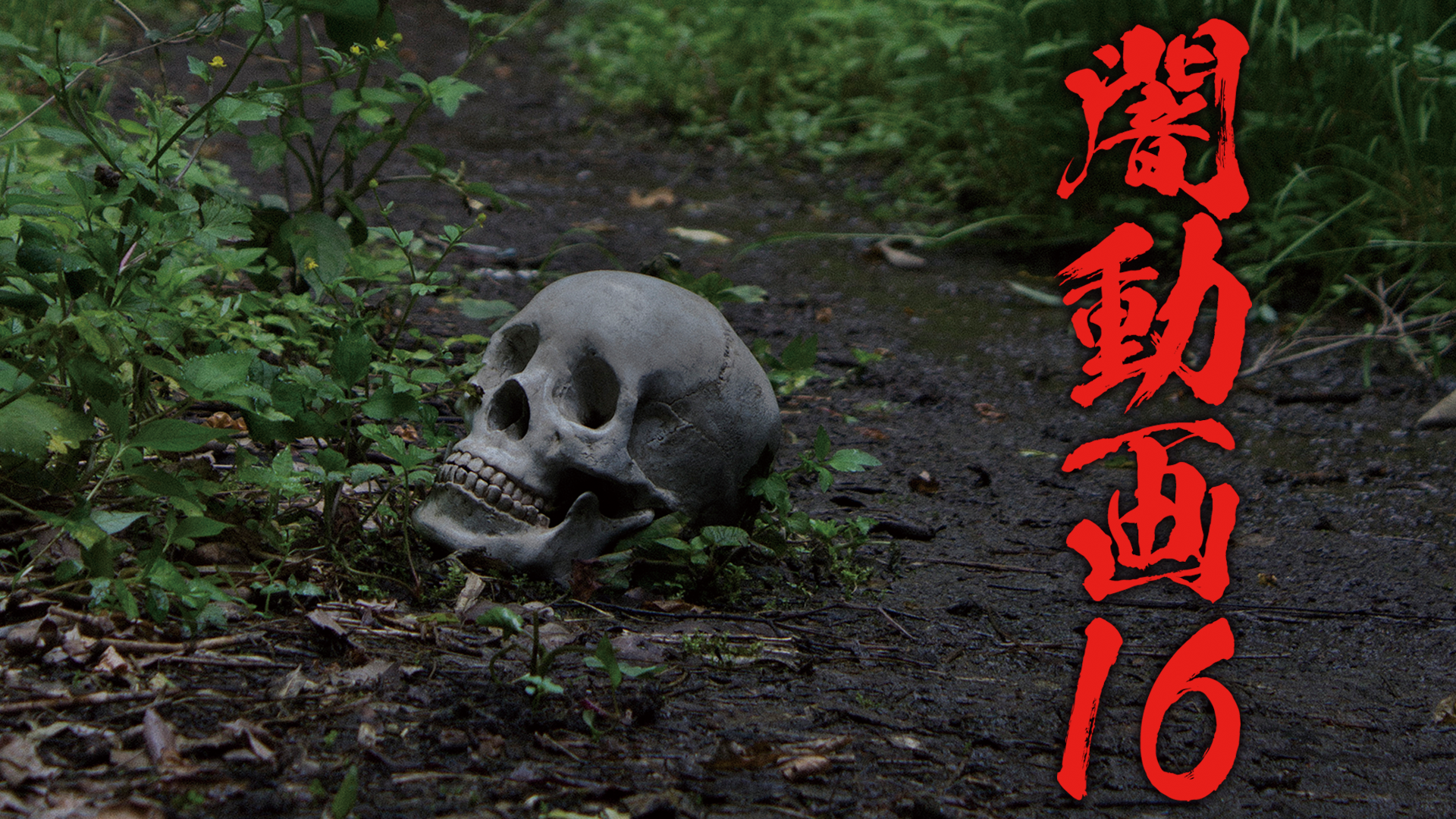 J:COM STREAM 視聴サイト