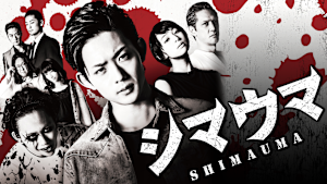シマウマ