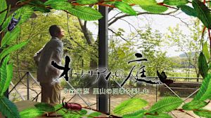 オーレリアンの庭