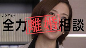 全力離婚相談