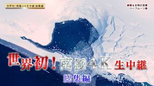 南極４Ｋ生中継