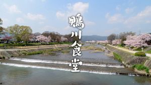 鴨川食堂